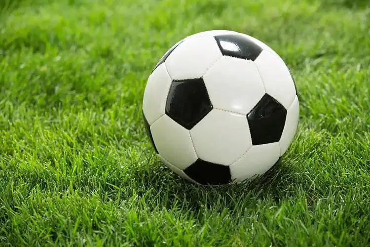 赛事数据分析展示